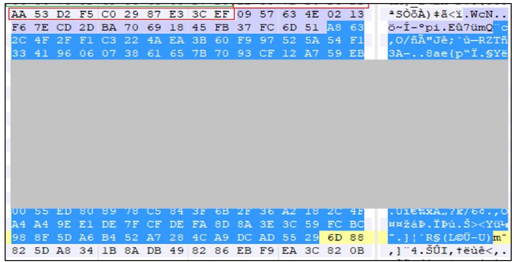 图 RSA 公钥
